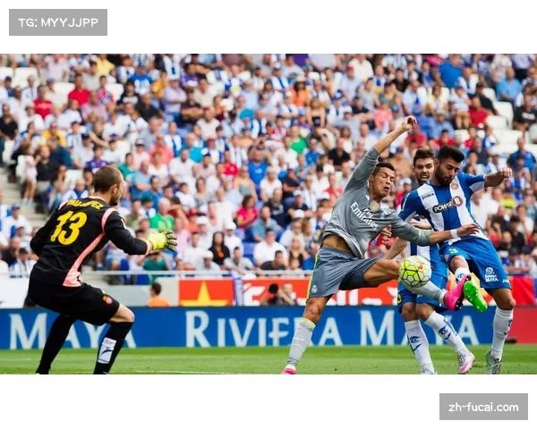 博洛尼亚2-0轻取维罗纳,中游位置稳步巩固