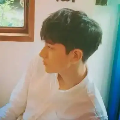 时家柳